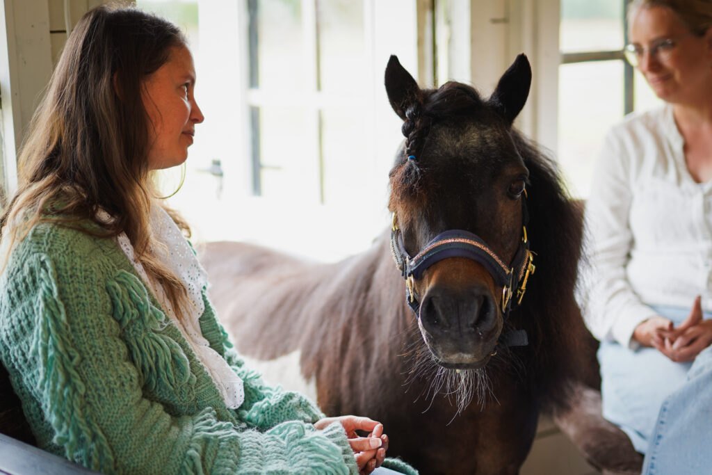 Verliesbegeleiding in Drenthe met coachpony Herman bij Stable Insights