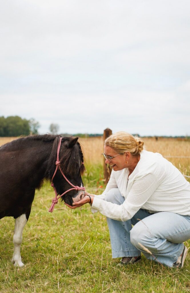 Paardencoaching bij verlies in Drenthe met Mathilde en coachpony's Herman en Fleur.